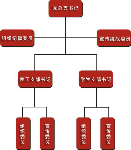 学校党组织结构设置 - 通许县丽星高级中学-丽星学校官网